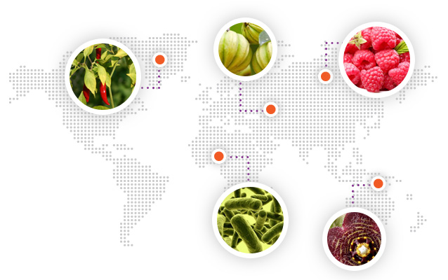 Product ingredients world map